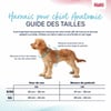 HALTI Harnais Anatomy pour chiot - Gris