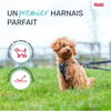 HALTI Harnais Anatomy pour chiot - Gris