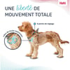 HALTI Harnais Anatomy pour chiot - Gris