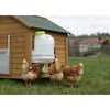 KERBL SmartCoop Bebedouro para aves