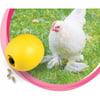 Futterball für Hühner 
