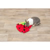 Tapis de fouille Fraise