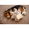 BEEZTEES Knuffel SNOET voor puppy's