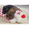 BEEZTEES Peluche SUKI pour chien avec puce sonore : I Love You 