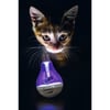 KARLIE Jouet distributeur de friandise ampoule led pour chat