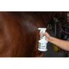 EKINAT Spray Xtra' Lustrante para cavalos