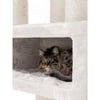 Árbol para gatos XXL Parklane crema - 131cm