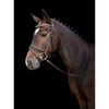 Bridon Kingston combiné anglais brun orné de strass pour cheval - 3 tailles disponibles