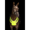 Reflecterende jachthalsband voor paarden