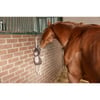 Speelgoed voor paarden Beer