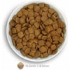 AMANOVA Mature Croquettes avec 60% de poisson frais pour Chien senior