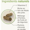 Care+ Nature Aliment Premium sans céréales pour Cochon d'Inde