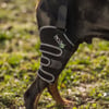 BALTO Sport Agile - Bande de compression droit pour chien