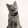 BALTO Neck Eco - Minerve anti-léchage pour chien et chat