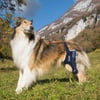 BALTO Jump - Attelle orthopédique pour genou gauche