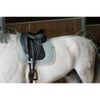 EQUITHEME Tapis de dressage Softy verde claro para caballo