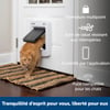 Porta conectada Petsafe SmartDoor para animais 