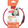 Collier lumineux USB pour chiot Zolux Bivouak - 2 coloris disponibles