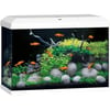 Aquarium Juwel Primo 70 L 2.0 LED blanc