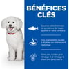 Hill's Science Plan Hypoallergenic Saumon pour chien de petites et très petites races