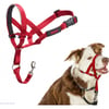 Licol Hati Headcollar - Rouge