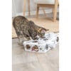 Cat Activity Paws'n'Treats Box en carton