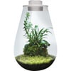 SuperFish Bio Art - Mini-Terrarium 3 Modelle