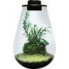 SuperFish Bio Art - Mini-Terrarium 3 Modelle