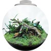 SuperFish Bio Art - Mini-Terrarium 3 Modelle