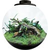 SuperFish Bio Art - Mini-Terrarium 3 Modelle