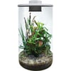 SuperFish Bio Art - Mini-Terrarium 3 Modelle