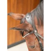 HARRY'S HORSE Bridon Rosegold Lacque II