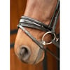 HARRY'S HORSE Bridon Rosegold Lacque II