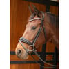 HARRY'S HORSE Bridon Rosegold Lacque II