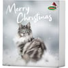 BUBIMEX Adventskalender für Katzen