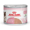 ROYAL CANIN Mother & Babycat tendre mousse pour chatte et chaton de 0 à 4 mois