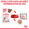 ROYAL CANIN Mother & Babycat tendre mousse pour chatte et chaton de 0 à 4 mois