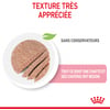 ROYAL CANIN Mother & Babycat tendre mousse pour chatte et chaton de 0 à 4 mois