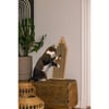 Griffoir pour chat - 60cm - Berit Designed By Lotte