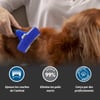Brosse FURminator pour chiens à poils courts - 5 tailles disponibles