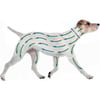 Anti-Parasiten-Halsband SERESTO Hunde, effizient für 7 bis 8 Monate