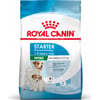 Royal Canin Mini Starter Mother & Baby - Cachorro e cadela em gestação - lactação (até 2 meses)