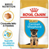 Ração seca sem cereais para cachorros Royal Canin Breed Berger Allemand Junior