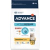 Advance Cat Adult Lachs