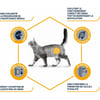 Advance Veterinary Diets Renal voor katten