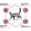 Advance Veterinary Diets Urinary pienso gatos