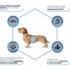 Advance affinity Mini Light - Alimento seco completo para cão adulto de porte pequeno com excesso de peso