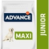 Advance Maxi Junior mit Huhn für große Junghunde