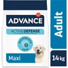 Advance Maxi Adult Frango para cães adultos de grande porte