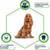 Advance Stick Dental Care voor honden - Antitandsteen